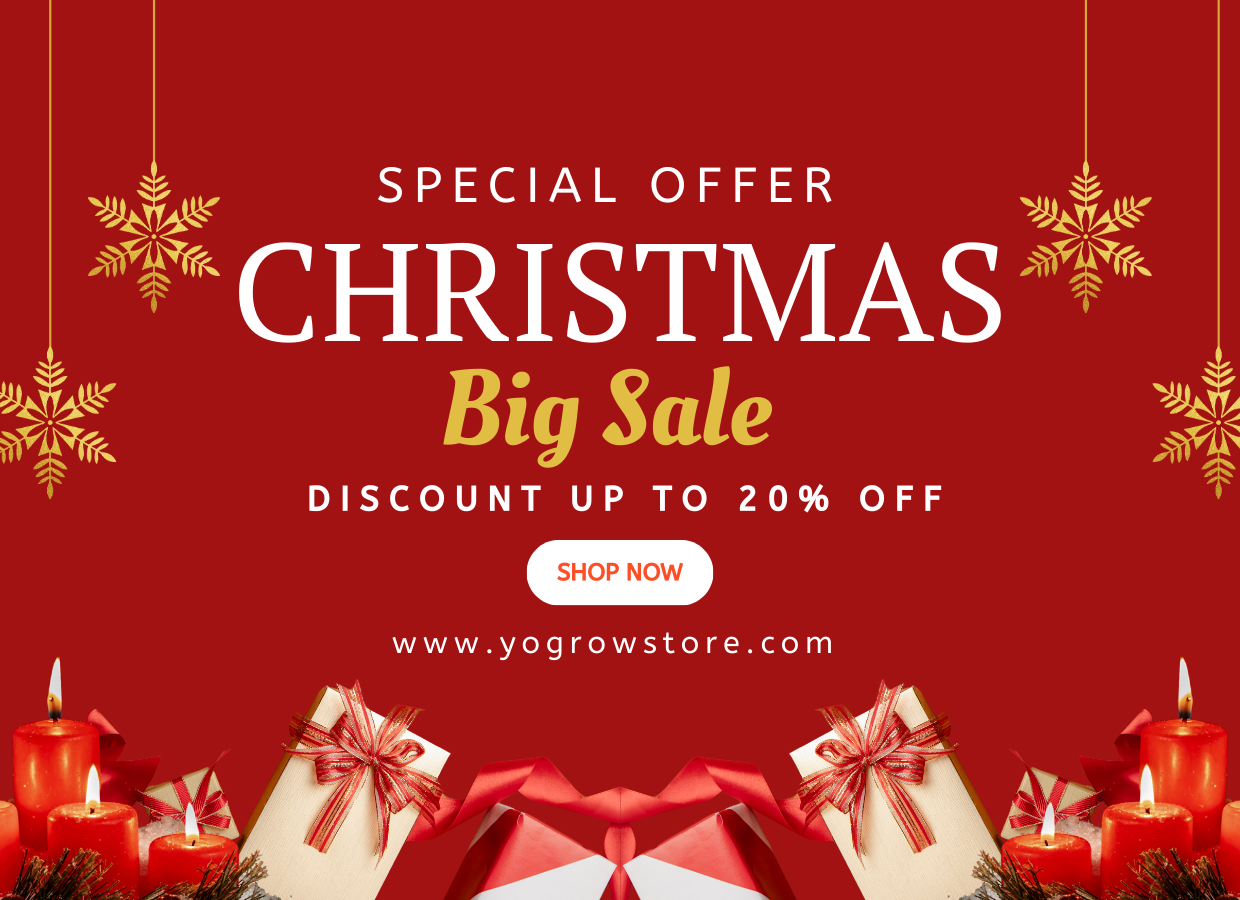 Y Store Specail Offer New