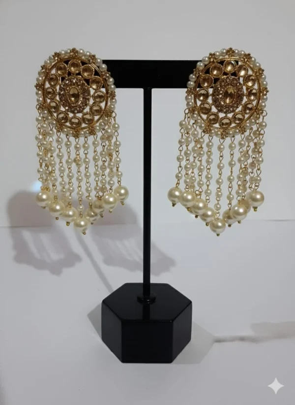 Gold Hoop Earring Collection on Black Display Stand